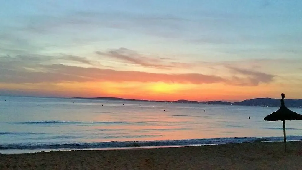 Hotel Myseahouse Flamingo - Adults Only 4* Sup Playa de Palma